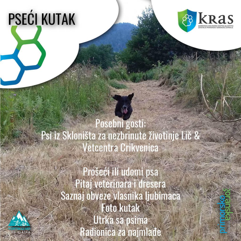 Pseći kutak - Aktivnost KRAS-a na Ljetnom licu Platka
