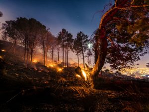 Fire 3
