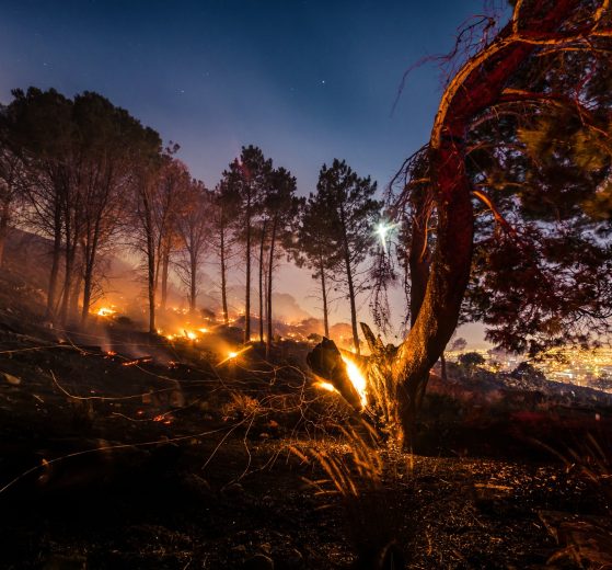Fire 3