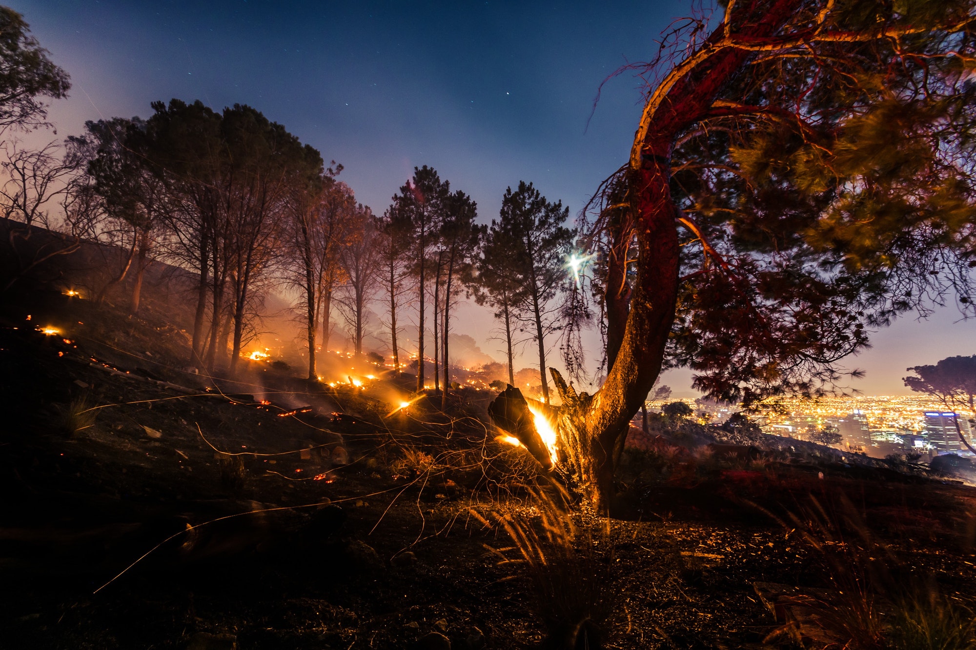 Fire 3