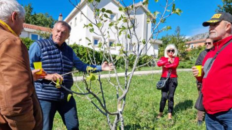 U turističkoj ponudi Vinodolske općine evidentirane su čak 194 kuće za odmor / Foto TZ Vinodolske općine